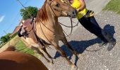 Trail Horseback riding Beaufort - Chez nous à chez Bertrand  - Photo 11