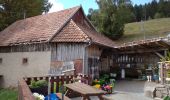 Trail Walking Stosswihr - Soultzeren_Boden_Soultzersmatt - Photo 2