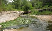 Tour Zu Fuß Castellar del Vallès - SL-C 65 Camí de les Arenes - Photo 2