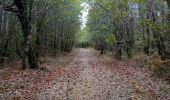 Excursión Senderismo Pays de Belvès - Salles de Belvès 15,7km - Photo 6