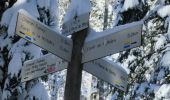 Tour Schneeschuhwandern Chapelle-des-Bois - la grotte de Pierre -rando raquettes -1140 m - Photo 4