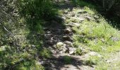 Trail Walking Murol - AUTOUR DU LAC CHAMBON  - Photo 1