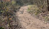 Trail Walking Kelmis - Kelmis/La Calamine 10 Km - Photo 11