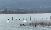 Randonnée Marche Viviers-du-Lac - Les Mottets - Photo 1