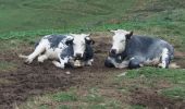 Tour Wandern La Roche-sur-Foron - GLIERES / BORNES: LE CHESNET - SUR COU - COL DU FREU - Photo 14