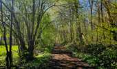 Trail Walking Mons - Balade à Hyon - Mons - Photo 17