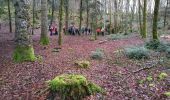 Trail Walking Naisey-les-Granges - Naisey  7 janv 2020 CAF - Photo 5