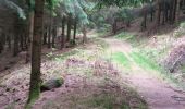 Tocht Mountainbike Bertrambois - sortie vtt du 20052018 - Photo 12