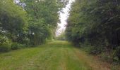 Tour Wandern Chimay - depart poreaupre - Photo 1