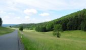 Randonnée A pied Markneukirchen - Erlbacher Bergweg - Photo 4