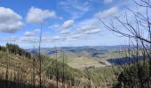 Tour Wandern Violay - Randonnée au dessus de Violay  - Photo 3