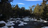 Tocht Sneeuwschoenen La Llagonne - Le long du têt  - Photo 5