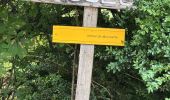 Trail Walking Aulon - J10-Aulon fait - Photo 20