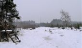 Trail Walking Theux - Bronromme sous la neige  - Photo 10