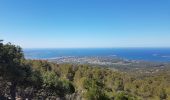 Randonnée Marche Sanary-sur-Mer - Le Gros Cervea - Photo 1