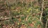 Trail Walking Kelmis - Kelmis/La Calamine 10 Km - Photo 12