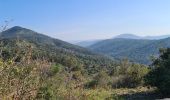 Trail Walking Sainte-Maxime - Vers Peigros - Photo 19