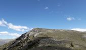 Tour Wandern Courmes - Pic de Courmettes Puy de Tourrettes - Photo 4