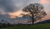 Tour Zu Fuß Lüdenscheid - (H) Rundweg Halver - Photo 8