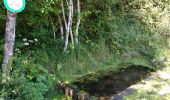 Tour Wandern Philippsburg - Étang de Hanau / Circuit de découverte  - Photo 14