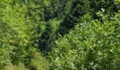 Percorso Marcia Laval-en-Belledonne - LE LAC DE CROP - Photo 1