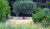 Tocht Stappen Cotignac - SityTrail - Notre Dame de Grace - Chapelle St Bernard - Monastere St Joseph - Chapelle St Martin - Le Poucet - Habitat troglodyte - Le village  - Photo 15