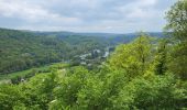 Trail Walking Bertrix - Auby sur Semois 070525 - Photo 8