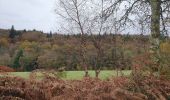 Tocht Stappen Huelgoat - Forêt Huelgoat - Photo 13