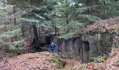 Tour Wandern Michelbrunn - Positions fortifiées du Donon - sentier des casemates Sud - Photo 2