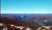 Tour Wandern Saint-André-de-Buèges - le Roc Blanc (départ les Prats-St André de Buèges) - Photo 1