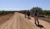 Tour Wandern Nîmes - Régordane 9 - Nîmes-St Gilles - Photo 1