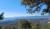 Tocht Stappen Saint-Raphaël - les ferrières depuis le parcours pédestre de St Raphaël - Photo 1