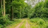 Tocht Te voet Beverungen - Weserhöhen-Wanderung 