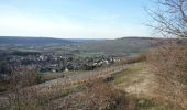 Trail Walking Courthiézy - Courthiezy du 13-02-2021 - Photo 3