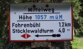 Tour Zu Fuß Furtwangen im Schwarzwald - Fohrenbühl - Briglirain - Photo 1