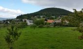 Excursión Bici de montaña Orbey - Orbey - Labaroche - Col du Wettstein - Photo 6