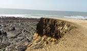 Trail Walking Jard-sur-Mer - Jard sur mer - Pointe du Payré - Photo 4