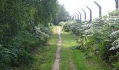 Percorso A piedi East Suffolk - Rendlesham Forest UFO Trail - Photo 3