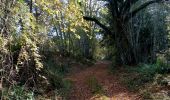 Trail Walking Sainte-Foy-de-Belvès - Doissat 17,5km - Photo 5
