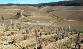 Excursión Senderismo Celles-sur-Ource - Les hauts de Celles sur Ource et Neuville sur Seine - Photo 1