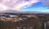 Tocht Te voet Bad Gottleuba-Berggießhübel - [Z] okruh Oelsen - Špičák - Oelsen - Photo 5