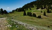 Trail Walking Saint-Agnan-en-Vercors - Plateau de Beure - Tête du Faisan - Photo 15