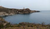 Randonnée Marche Port-Vendres - anse des paulilles - cap bear / retour par les vignes - Photo 16