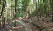 Trail Walking Steinsel - Ballade en forêt de Grünewald  - Photo 9