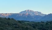 Trail  Saint-Raphaël - Esterel - Les Ferrieres - Cap Esterel  - Photo 1