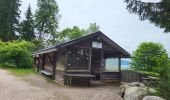 Tocht Stappen Schluchsee - Forêt Noire : tour du lac Schluchsee - Photo 5