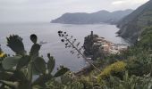 Excursión Senderismo Vernazza - Corniglia-Monterosso-10kmD570m - Photo 6