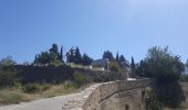 Tour Esel-Trekking Tuchan - cathare 3 Tuchan Duilhac sous peyrepertuse  - Photo 17