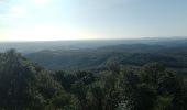 Trail Walking Mas-de-Londres - Mas de Londres - le Pic St Loup du 05-02-2024 - Photo 1