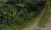 Trail Walking Cassel - cassel - Photo 1